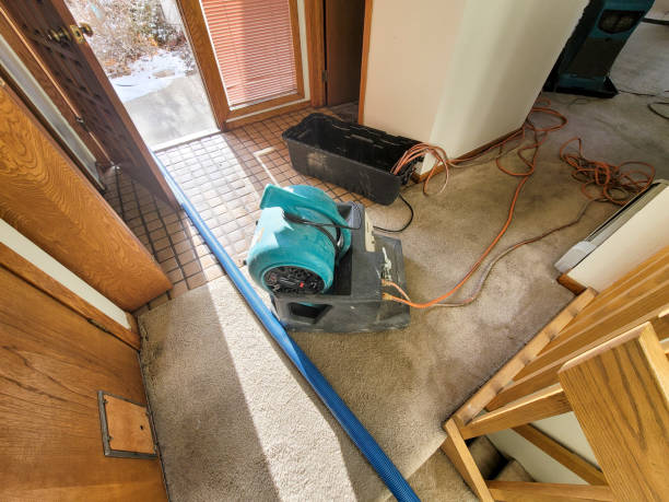 Best Commercial water damage restoration  in Georgetown, TX