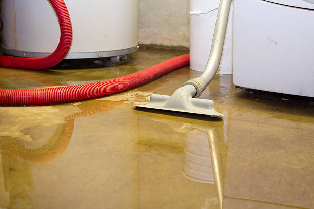 Best Commercial water damage restoration  in Georgetown, TX